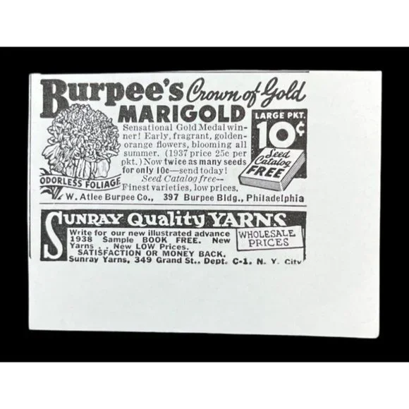 Doan's Pills 1938 Vintage Print Ad Kidney Flush Out Backaches - Picture 5 of 8